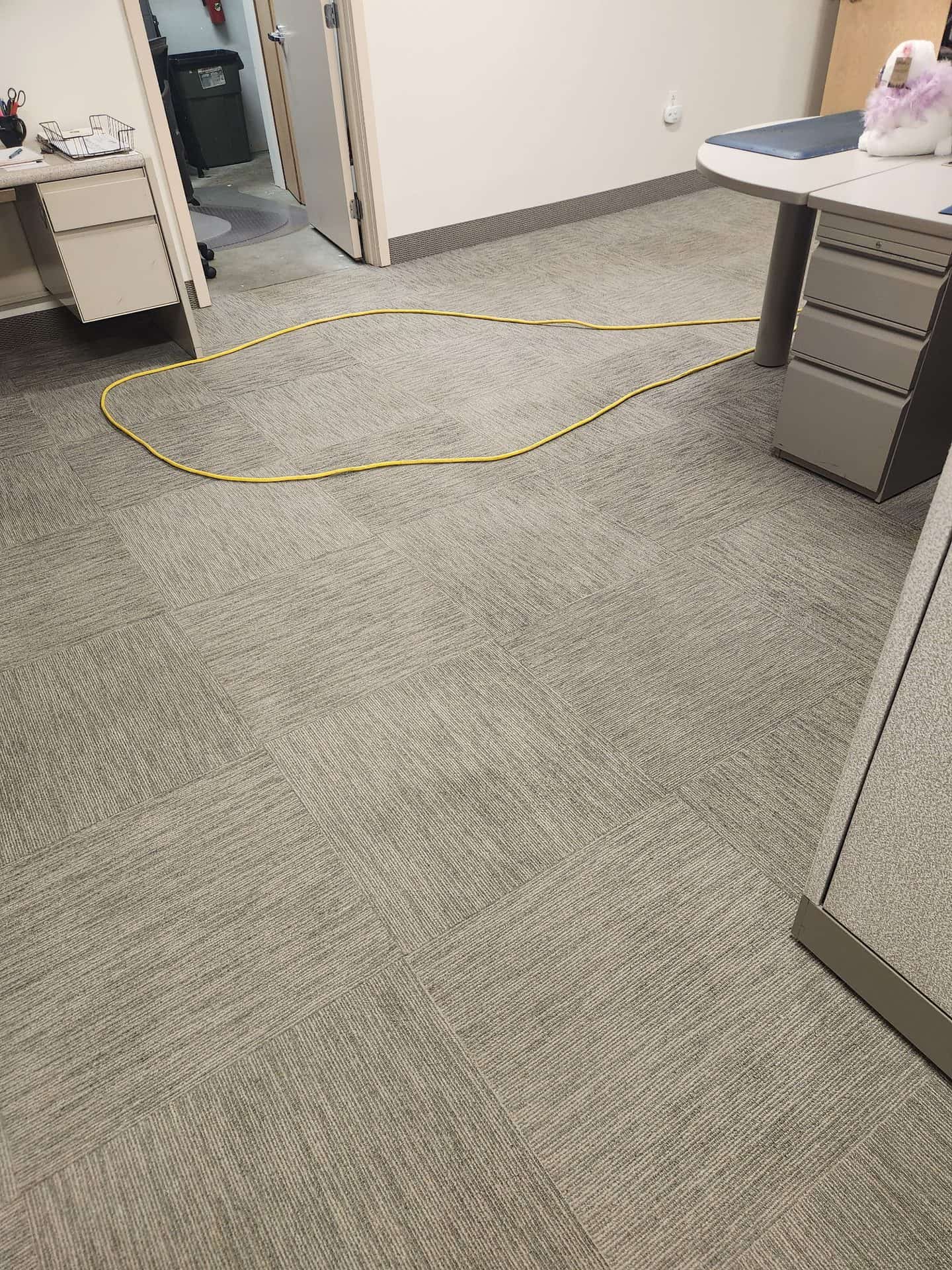 Clean commercial carpet in a Twinsburg insurance office after professional carpet cleaning