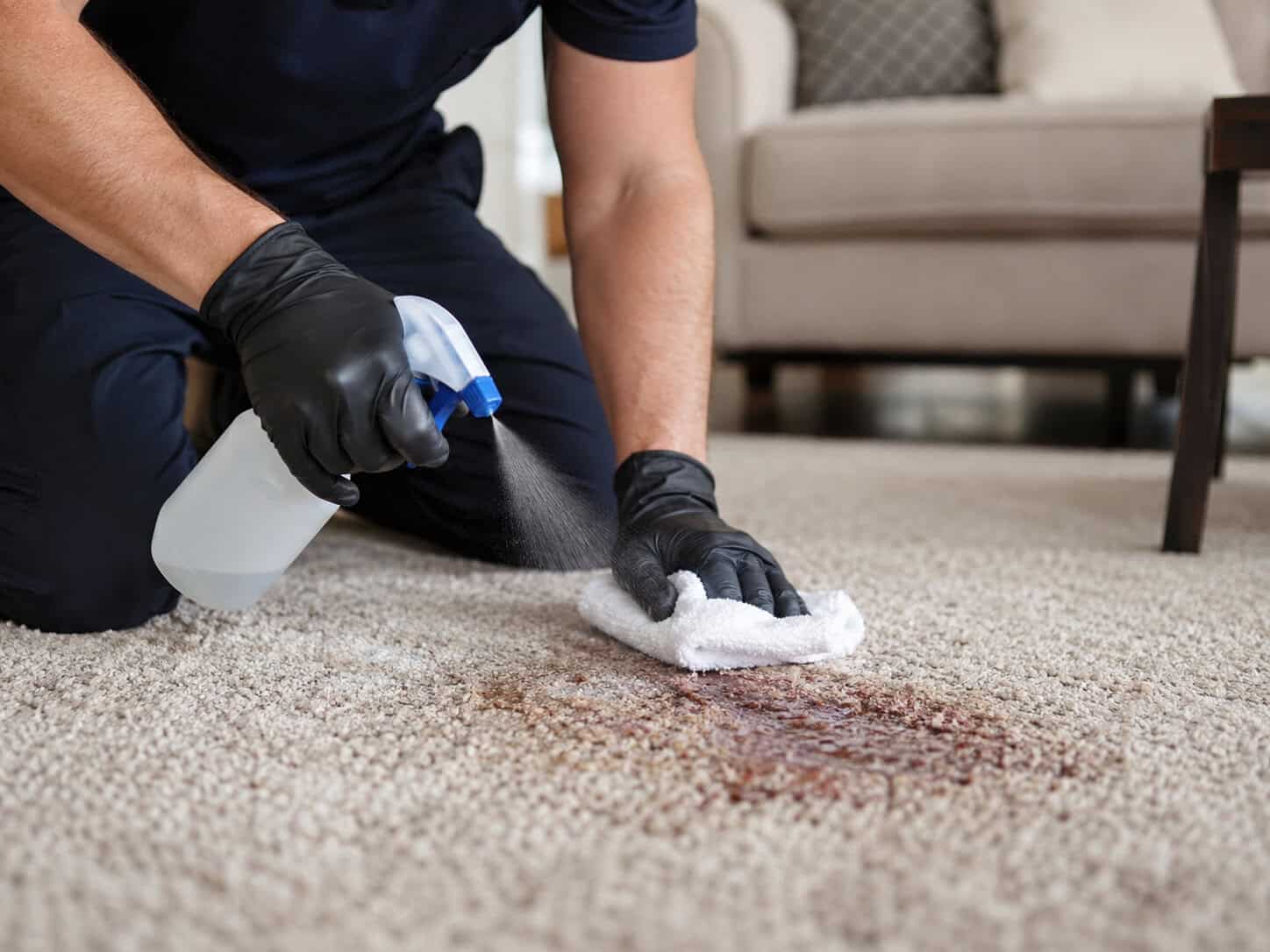 Carpet Cleaning Cost: 8 Essential Factors That Affect What You Pay 2 Professional carpet stain treatment and spot cleaning