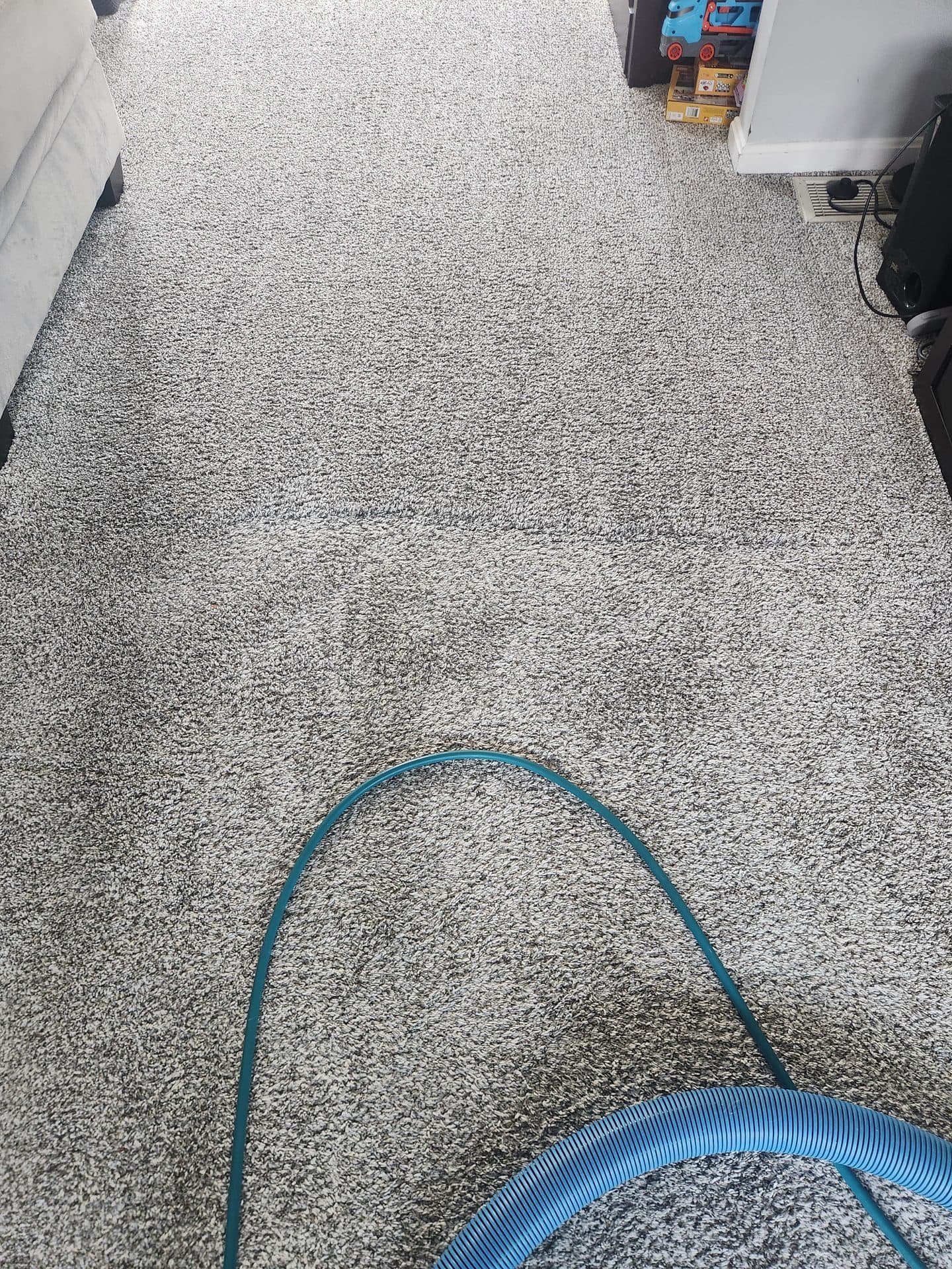Carpet after professional steam cleaning in Chesterland