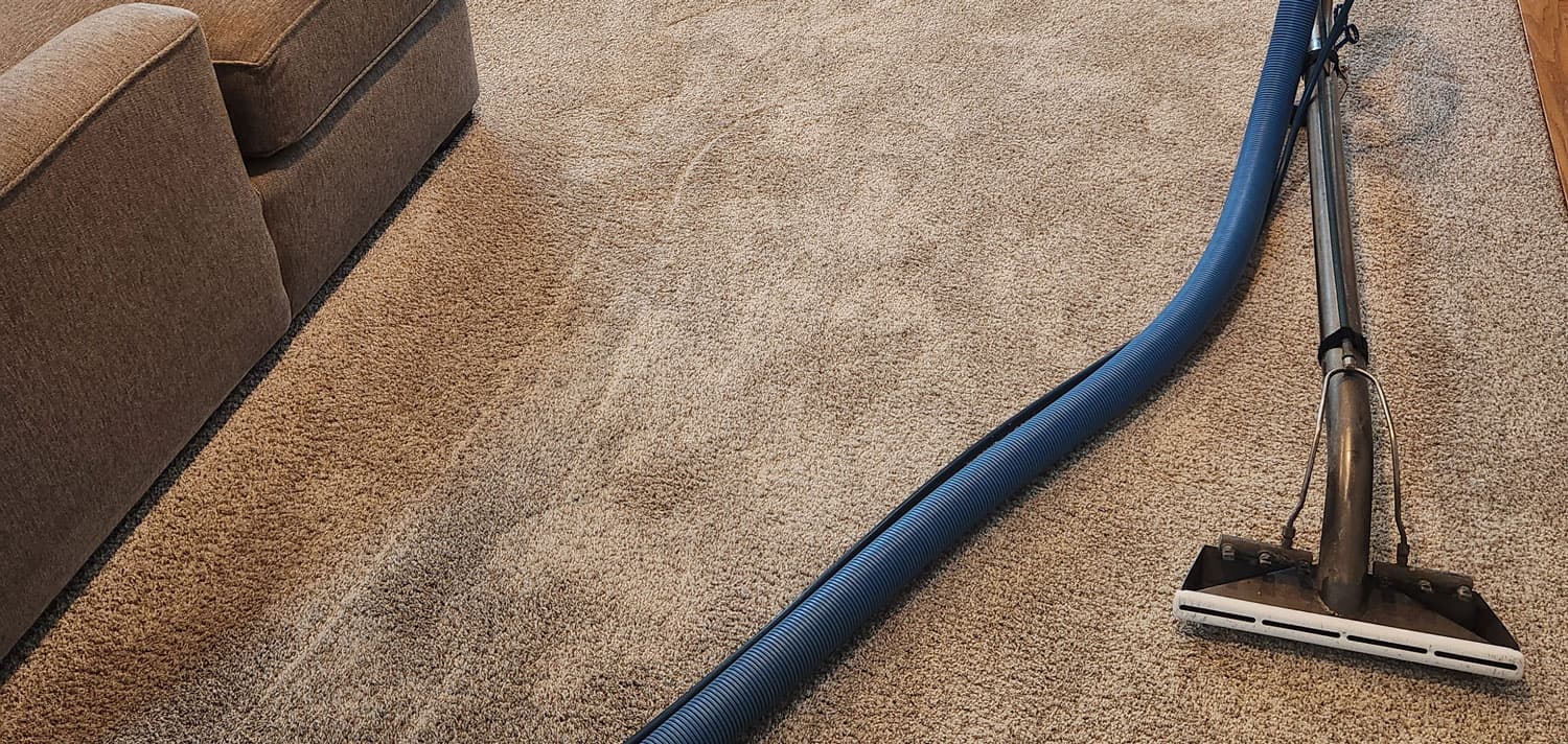 carpet with bright, fresh fibers