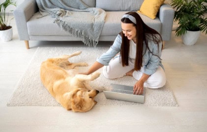 How Often to Clean Carpets with Pets: Expert Tips for a Fresh, Healthy Home 2 pet safe carpet cleaning